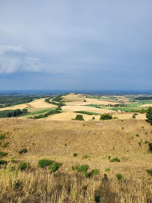 Weite Ebene